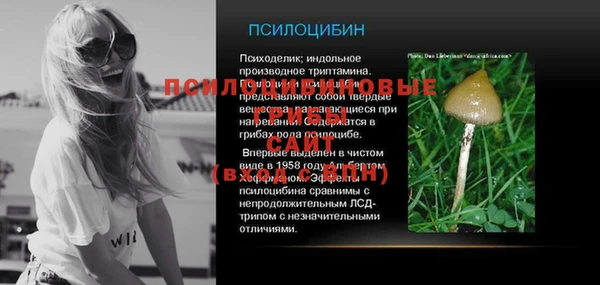 сатива Волосово