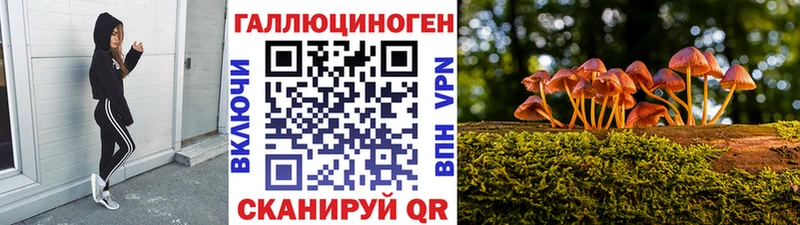 Псилоцибиновые грибы Psilocybe  где можно купить наркотик  Нефтеюганск 