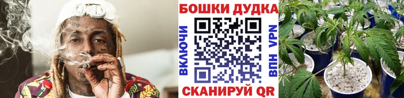 цены наркотик  Нефтеюганск  Конопля White Widow 